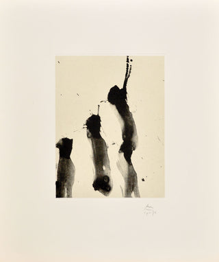 Robert Motherwell