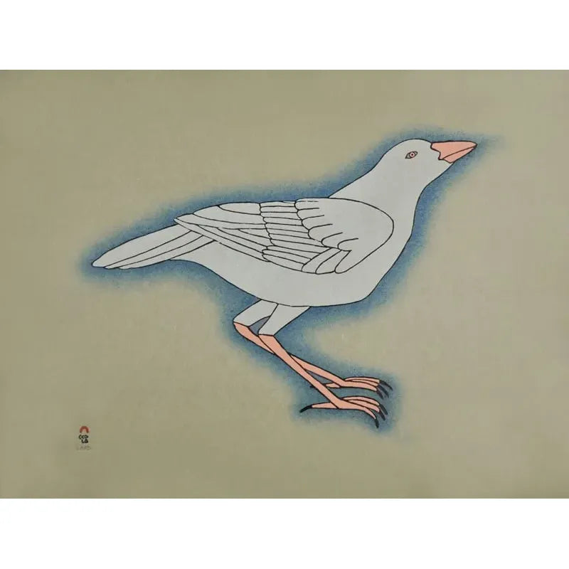 QAVAVAU MANUMIE, "White Raven"