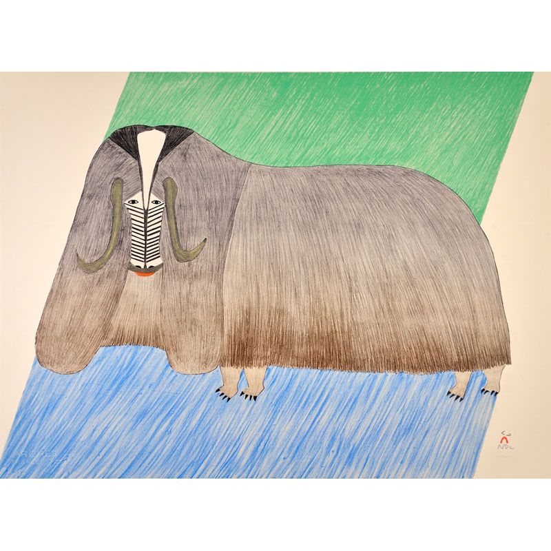 PUDLO PUDLAT "Formidable Muskox"