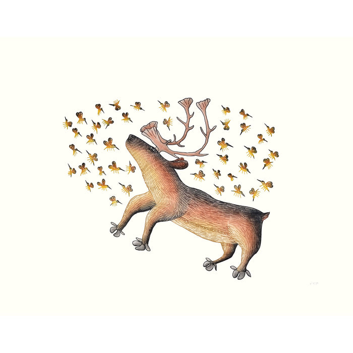 CEE POOTOOGOOK "Summer Buzz"