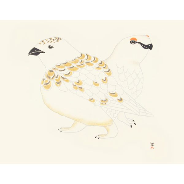 KANANGINAK POOTOOGOOK "Rock Ptarmigan"