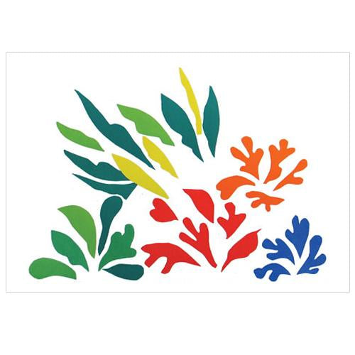 Henri Matisse Lithograph, "Acanthes"
