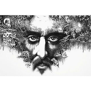 Carlos Monsalve, Forest Gaze - La mirada de los bosques