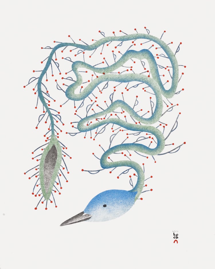 QAVAVAU MANUMIE, "Tingling Bird"