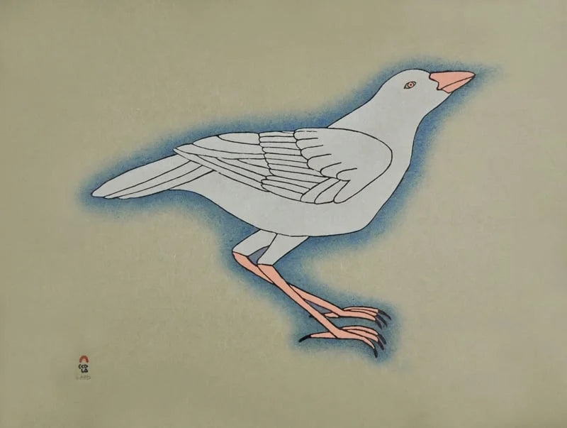 QAVAVAU MANUMIE, "White Raven"