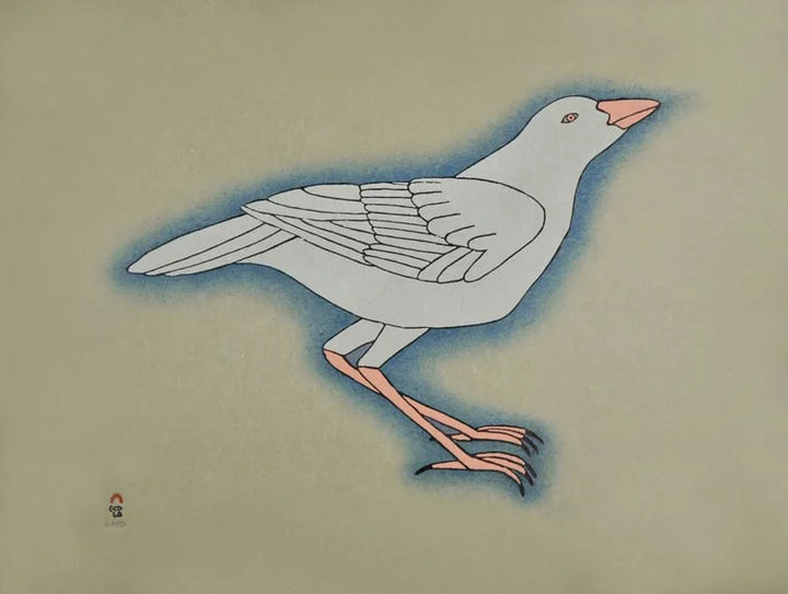 QAVAVAU MANUMIE, "White Raven"
