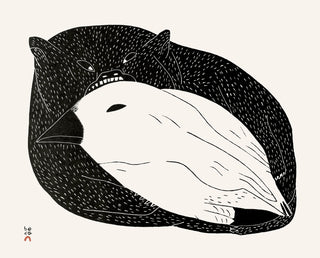 MALAIJA POOTOOGOOK, "Nunavut Vampire"