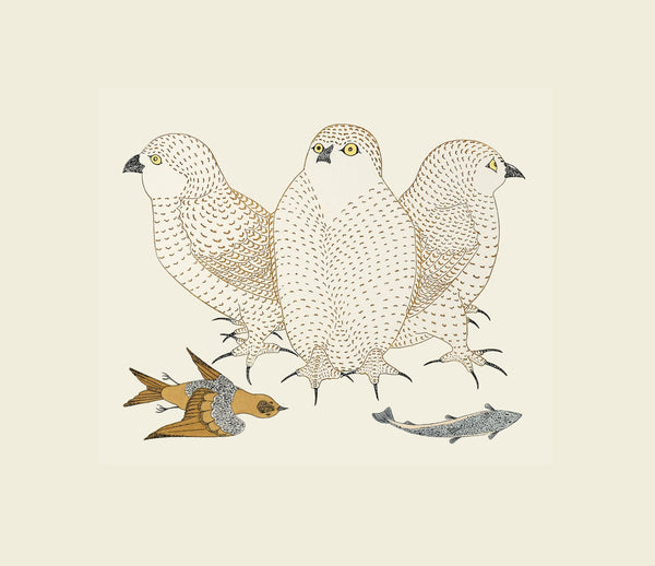 KANANGINAK POOTOOGOOK "Young Owls with Catch"