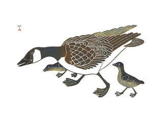 KANANGINAK POOTOOGOOK "The first Walk"