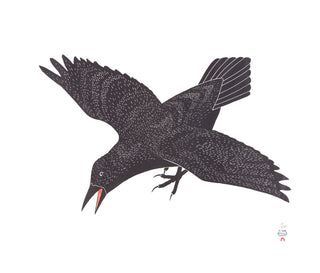 KANANGINAK POOTOOGOOK "Raven's Alarm"