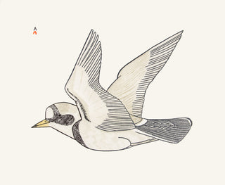 KANANGINAK POOTOOGOOK "Sailing on the Breeze"