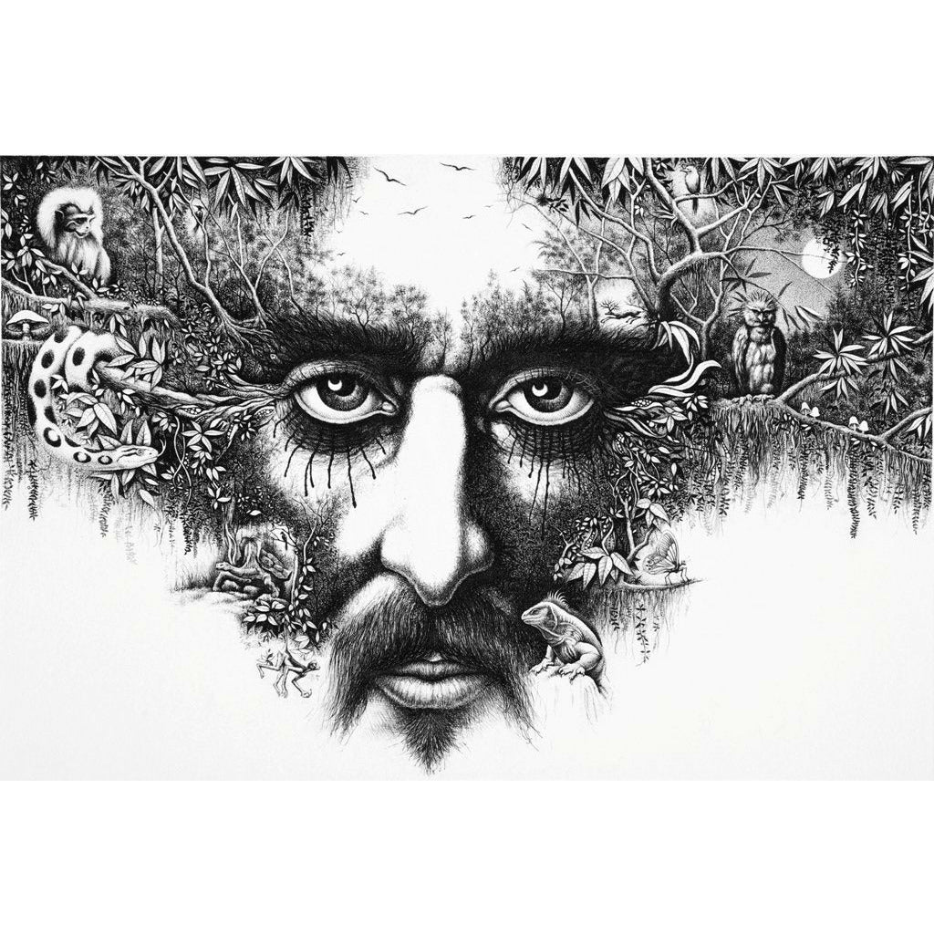 Carlos Monsalve, Forest Gaze - La mirada de los bosques