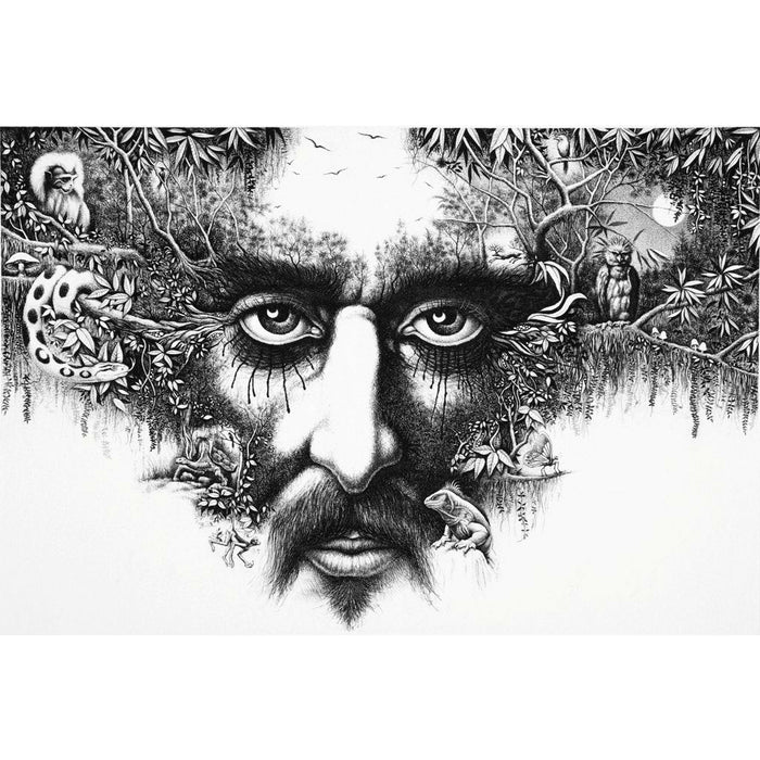 Carlos Monsalve, Forest Gaze - La mirada de los bosques