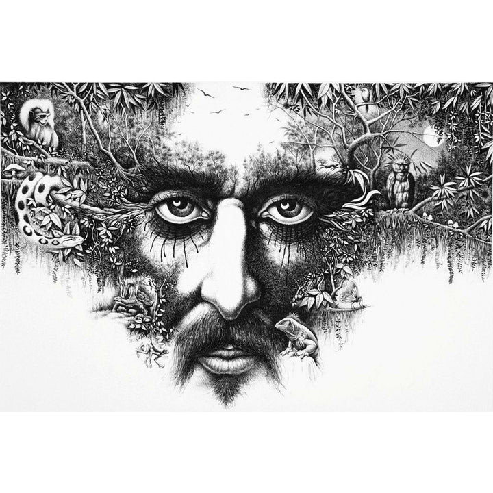 Carlos Monsalve, Forest Gaze - La mirada de los bosques