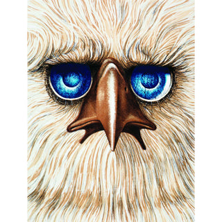 Carlos Monsalve, Harpy Eagle